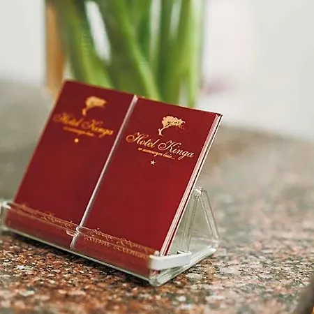 Kinga Hotel Zarki Letnisko